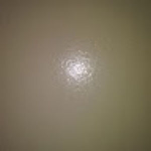 Meet your Posher, Franklin